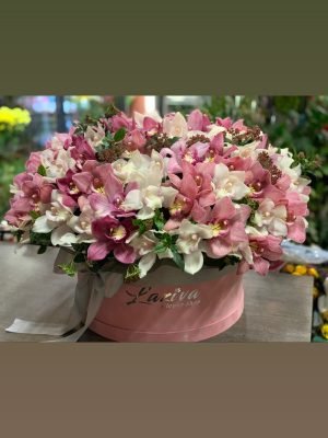 101 Symbidium Orchids No.11